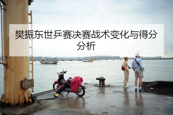 樊振东世乒赛决赛战术变化与得分分析